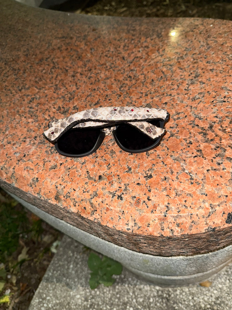Python Ray Ban Wayfarer